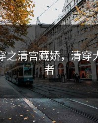 颠覆清穿之清宫藏娇，清穿大清颠覆者