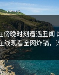 当事人在傍晚时刻遭遇丑闻 炸裂，蘑菇影视在线观看全网炸锅，详情围观