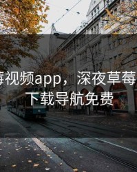 深夜草莓视频app，深夜草莓视频app下载导航免费