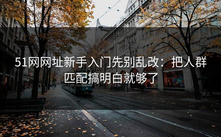 51网网址新手入门先别乱改：把人群匹配搞明白就够了