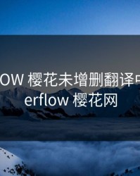 OVERFLOW 樱花未增删翻译中文，overflow 樱花网