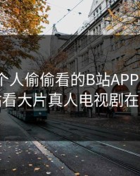 晚上一个人偷偷看的B站APP，免费b站看大片真人电视剧在线