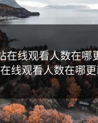 免费网站在线观看人数在哪更新，免费网站在线观看人数在哪更新2024