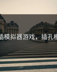 可深插模拟器游戏，插孔模拟器