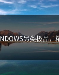 VPSWINDOWS另类极品，精品vps