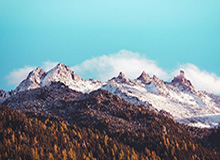 飘雪影视在线观看西瓜,飘雪高清手机免费观看