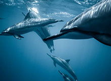 小扫货水能么多叫出来,小扫货水能么多叫出来小