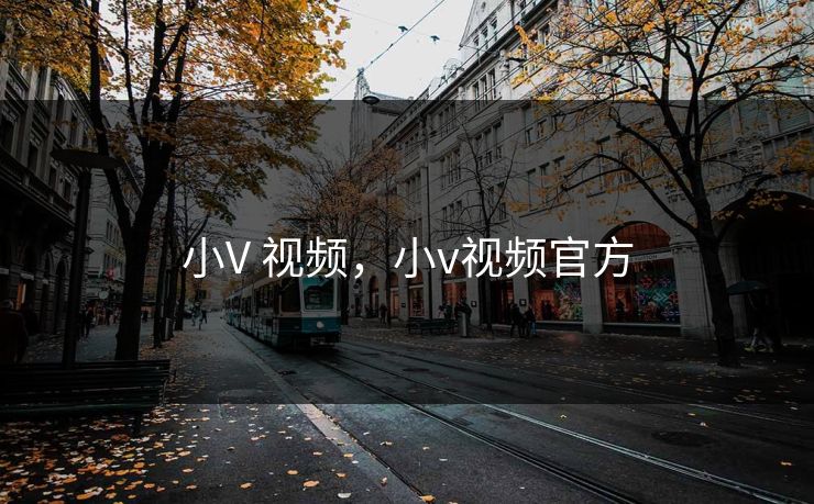 小V 视频，小v视频官方