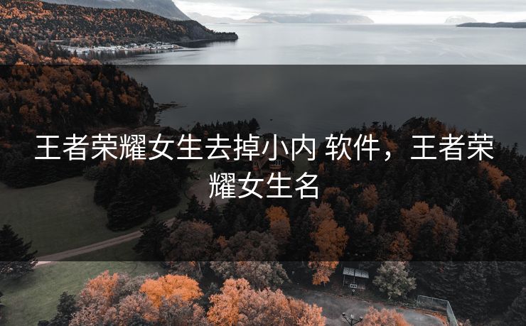 王者荣耀女生去掉小内 软件，王者荣耀女生名